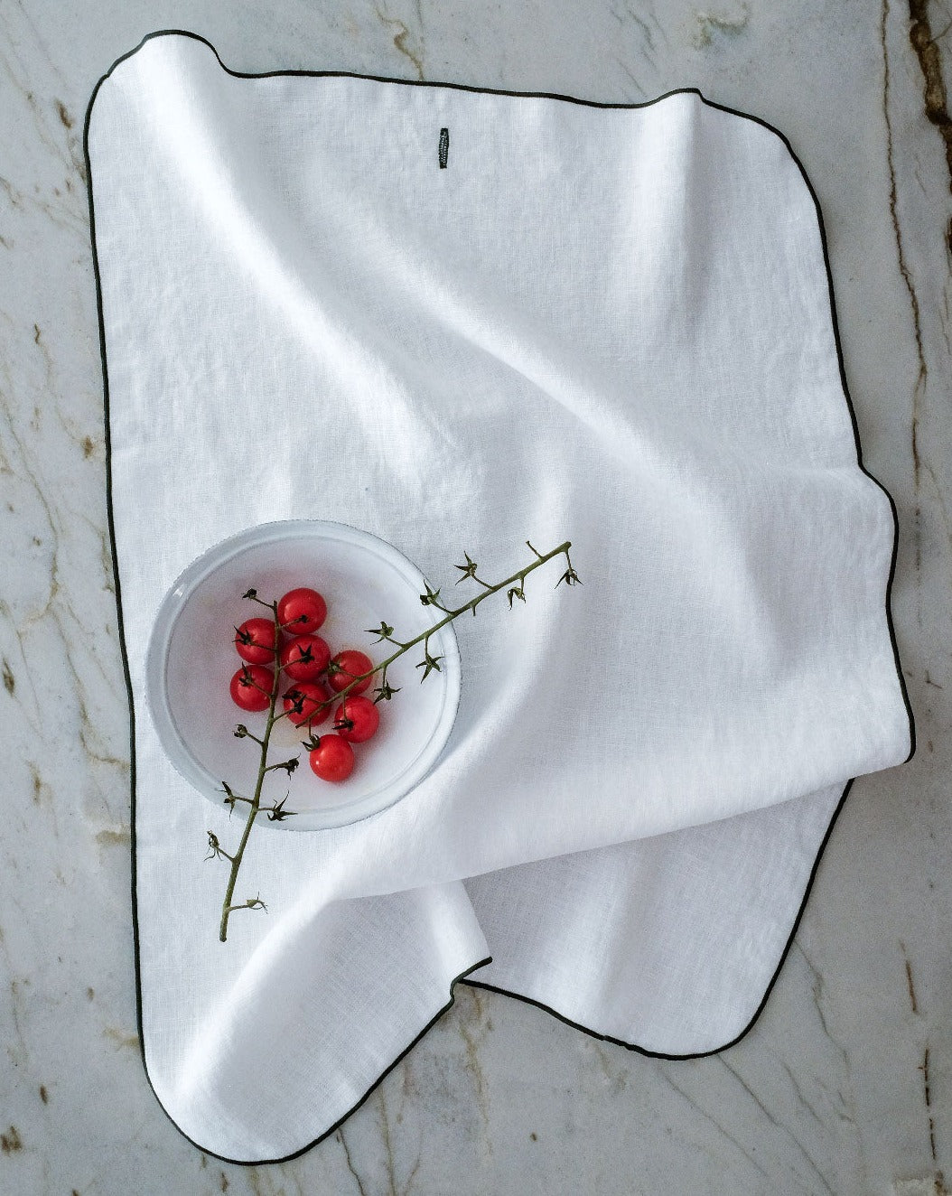 Sand and White Embroidered Linen Napkins Set of 4